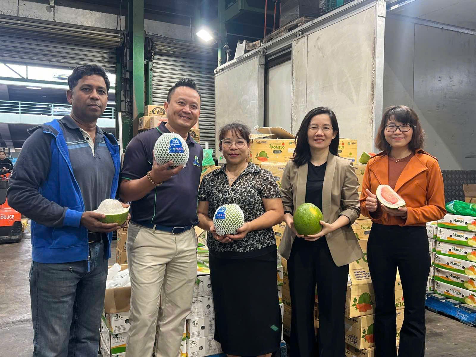 CHÍNH THỨC: BƯỞI VIỆT NAM LẦN ĐẦU VÀO AUSTRALIA – KẾT QUẢ CỦA ĐÀM PHÁN MỞ CỬA THỊ TRƯỜNG & TUÂN THỦ TIÊU CHUẨN CHẤT LƯỢNG